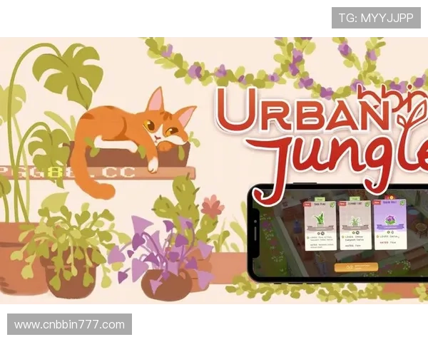 bbin下载大全版本对比分析，帮助用户选择最适合自己的软件版本