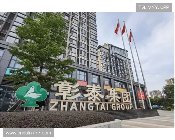 寶盈集團的企業社會責任實踐與對社區的長期貢獻分析